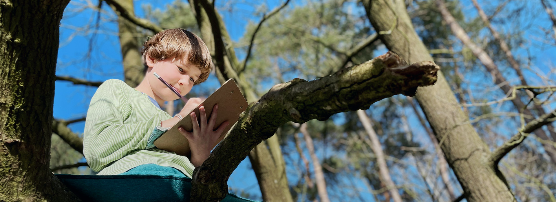 Über die Montessori Paedagogik / Montessori Deutschland