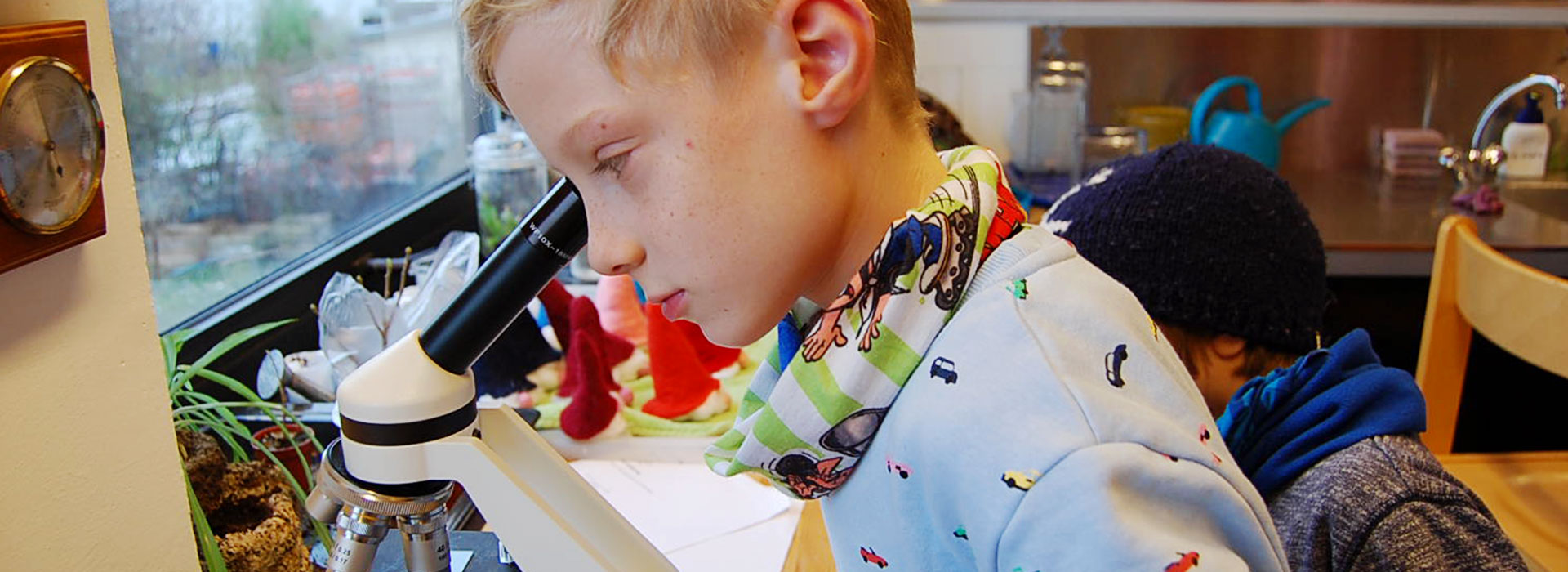 montessori deutschland austausch vernetzung