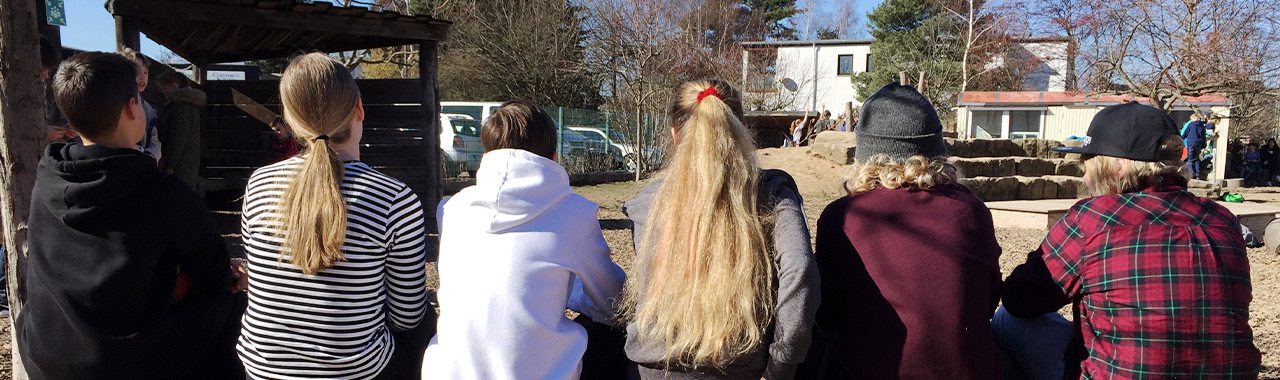 montessori deutschland organisation ausbildungsorganisationen