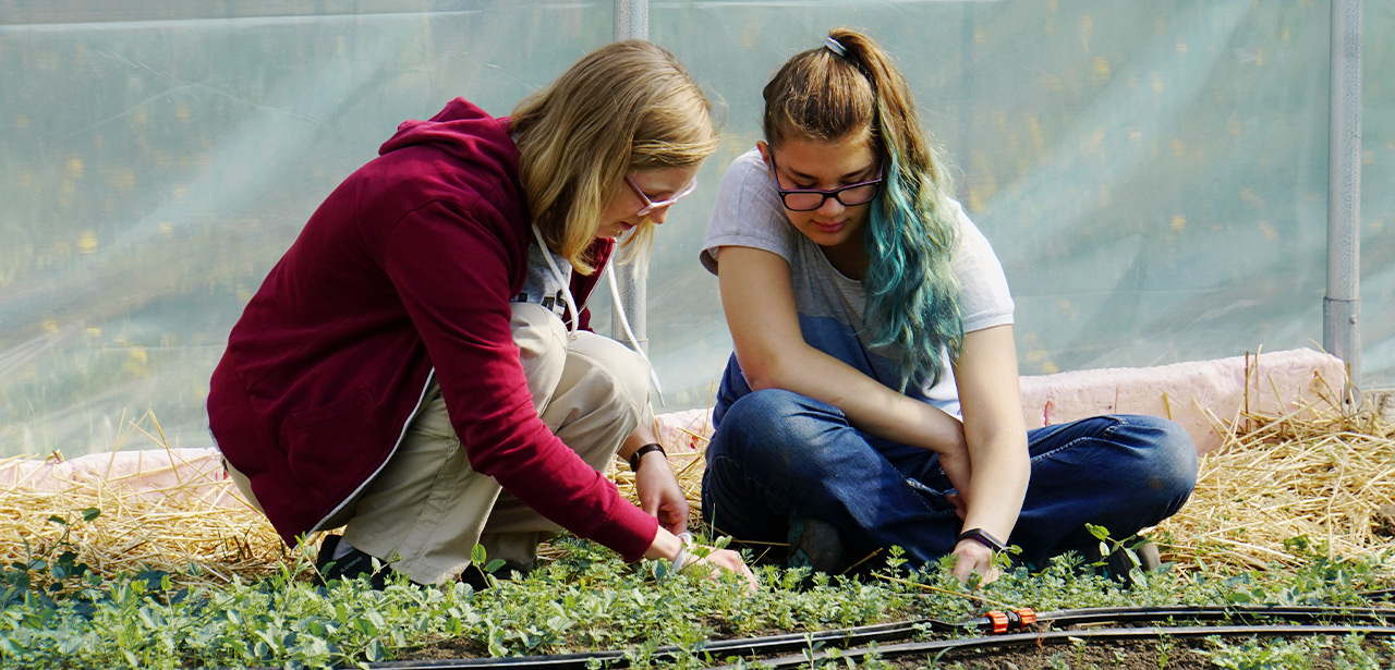 montessori deutschland ueber uns 1
