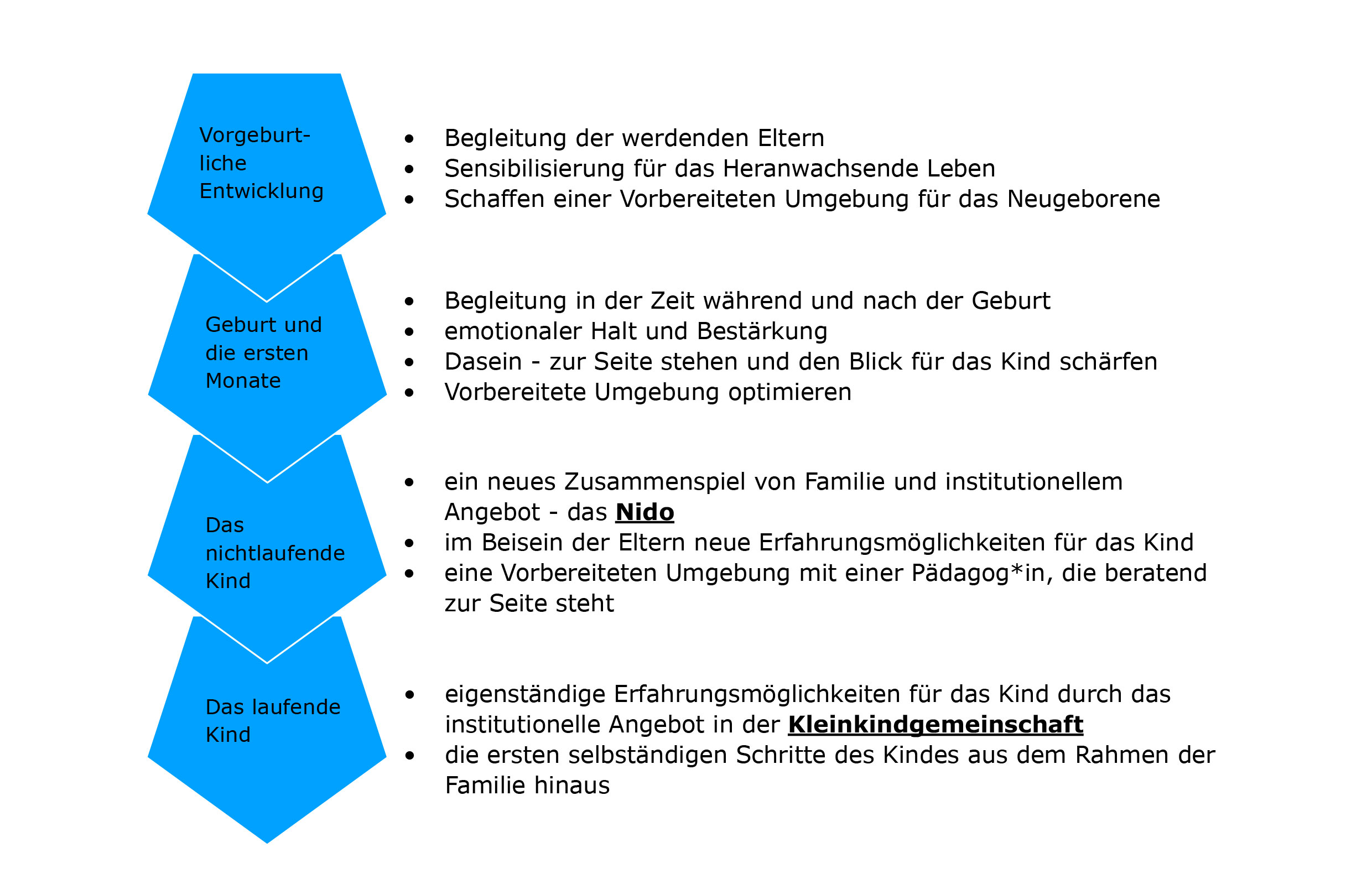 montessori deutschland das junge Kind in der Paedagogik 1