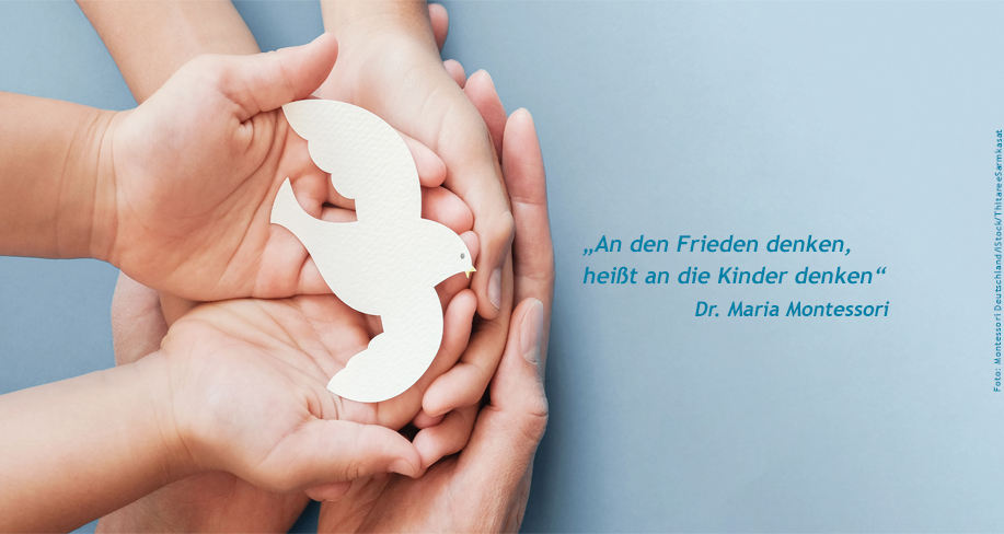 Friedenstaube Website Zitat Credits